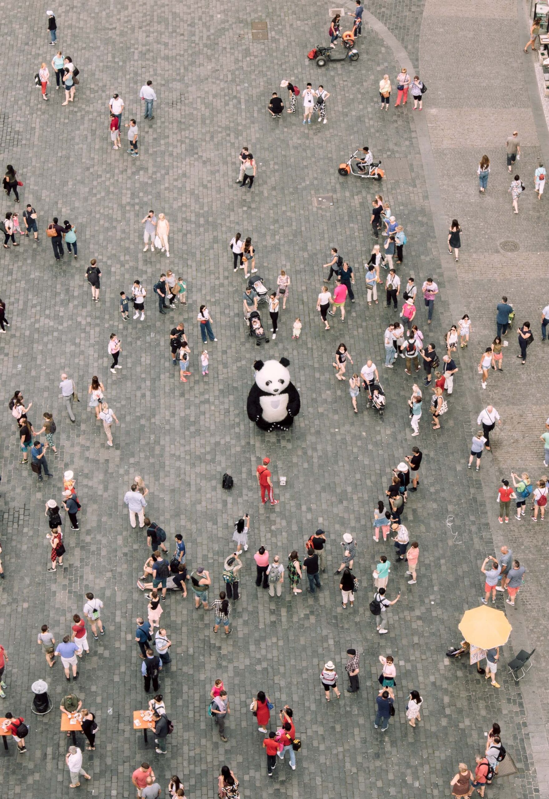 Marketing_Behavioural_Science_Anchoring_Stand_Out_Crowd_Panda_Mascot